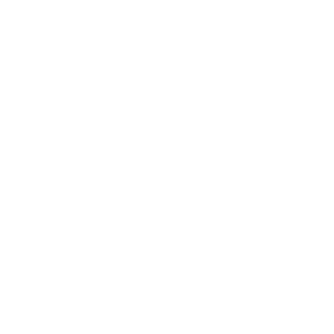 Das Logo der Kanzlei Natterodt. Die Initialen der Inhaberin, Ismina Natteroth, sind ineinandergreifend auf einem Schild abgebildet.
